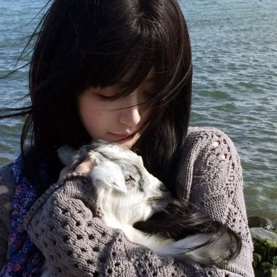 坂本日常海报